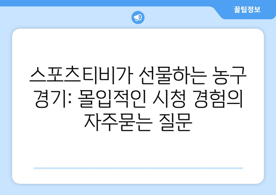 스포츠티비가 선물하는 농구 경기: 몰입적인 시청 경험