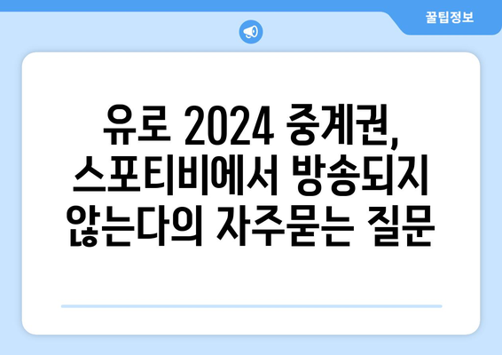 유로 2024 중계권, 스포티비에서 방송되지 않는다