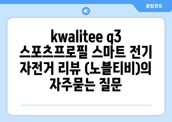 kwalitee q3 스포츠프로필 스마트 전기 자전거 리뷰 (노블티비)