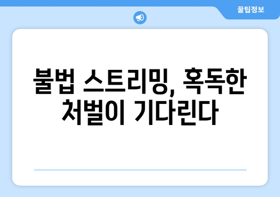 누누티비 사용의 위험성: 처벌과 대안