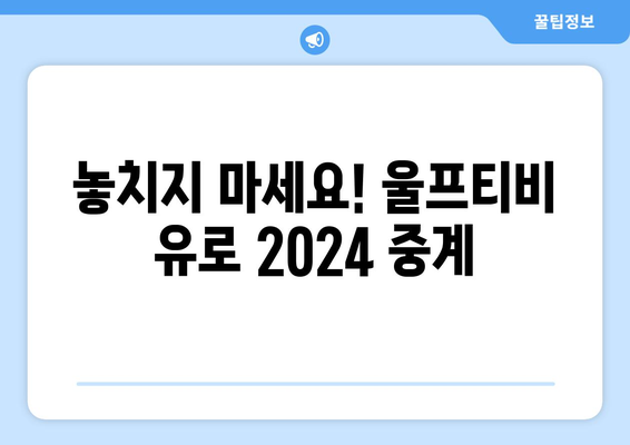 유로 2024 중계와 해외 스포츠 중계, 울프티비에서 확인