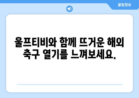 울프티비 챔피언스리그 해외 스포츠 중계