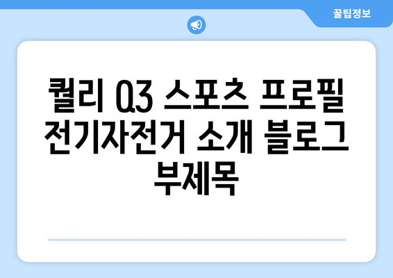 퀄리 Q3 스포츠 프로필 전기자전거 소개