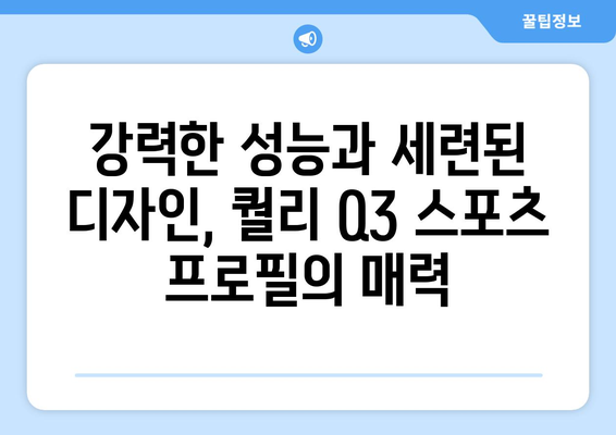 퀄리 Q3 스포츠 프로필 전기자전거 소개