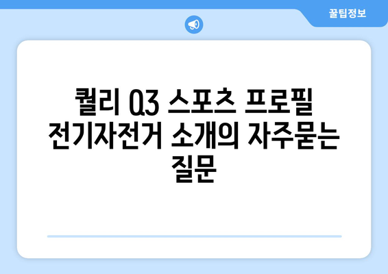 퀄리 Q3 스포츠 프로필 전기자전거 소개