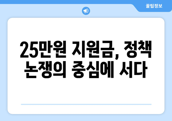 경제 활성화를 위한 25만 원 지원금 분배