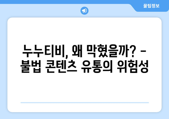 누누티비 대체 원인 2