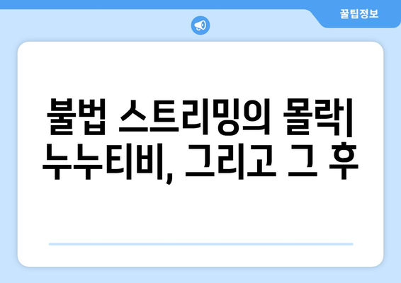 우회를 안녕하세요. 누누티비 서비스 종료: 대체가 등장할까?