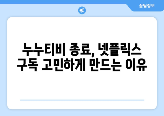 누누티비 종료로 넷플릭스 대체 필요성