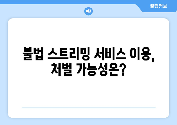 누누티비 대체 티비착: 불법 활동에 대한 처벌 가능성