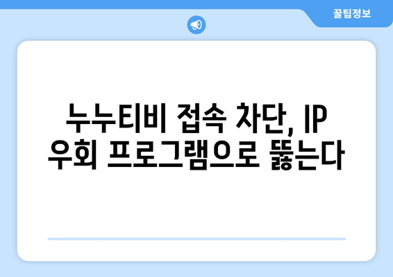 누누티비에 대항하는 IP 우회 프로그램의 등장