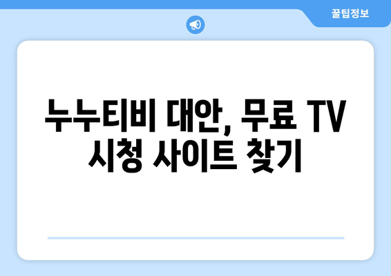 누누티비 대신 공짜 TV 시청 가능한 대안 사이트 찾기