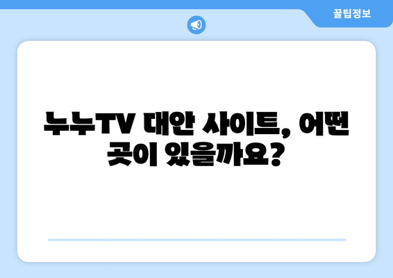 누누TV 대체 사이트: 공짜 TV를 다시 보기 위한 옵션