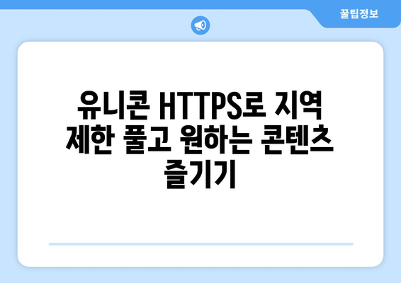 IP 우회 프로그램 유니콘 HTTPS