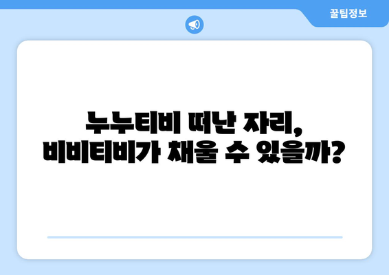 비비티비 대체: 누누티비의 후계자?