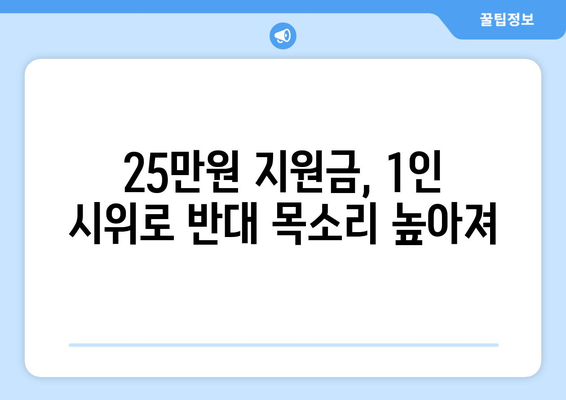 1인 시위로 반대하는 25만원 민생 회복 지원금