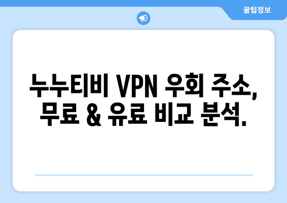 누누티비 대신 사용할 수 있는 VPN 우회 주소 안내