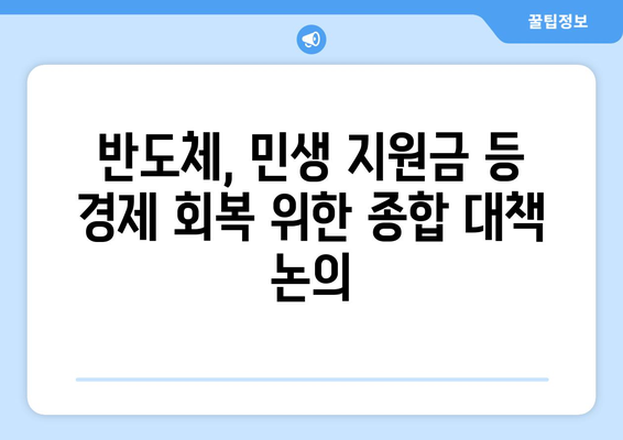 반도체, 민생 지원금 등 경제 지원 방안 논의