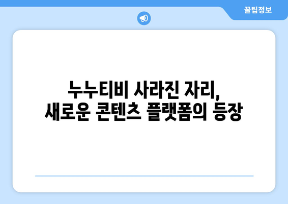 누누티비 종료: 자발적인 폐쇄와 대체 사이트의 출현