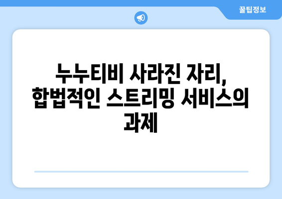 누누티비의 유산: 불법 스트리밍 사이트의 끊임없는 성장