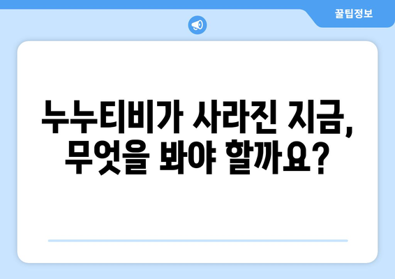 누누티비의 정체와 대체 채널 없음