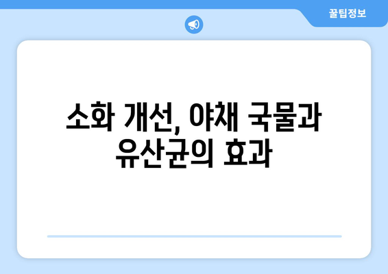 야채 국물과 유산균이 건강에 미치는 이점