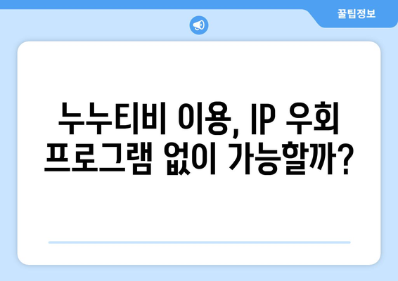 IP 우회 프로그램과 누누티비의 상승