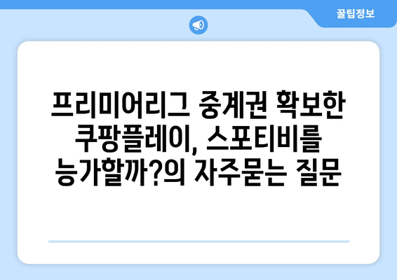 프리미어리그 중계권 확보한 쿠팡플레이, 스포티비를 능가할까?