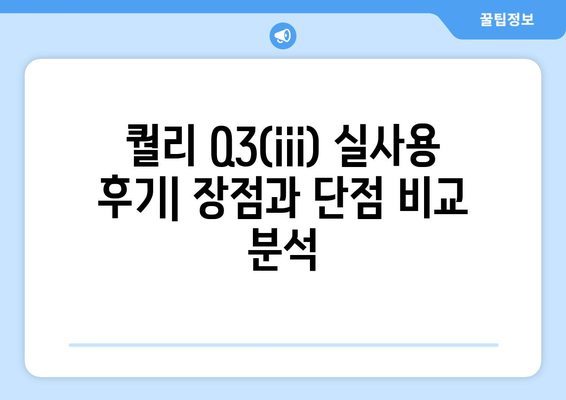 노뷜티비의 스마트 전기자전거 퀄리 q3(iii)