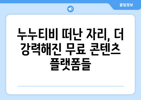 공짜 TV로의 복귀: 누누티비 대체 배후의 영웅