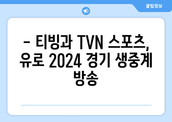 유로 2024 중계권: 티빙과 TVN 스포츠 독점