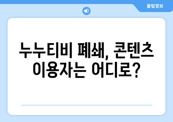 누누티비 폐쇄: 대체 채널 부재