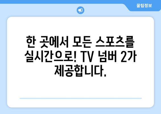 실시간 스포츠의 전당: TV 넘버 2에서 모든 스포츠 한번에