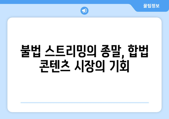 누누티비 종료 이후: 대안 서비스의 미래