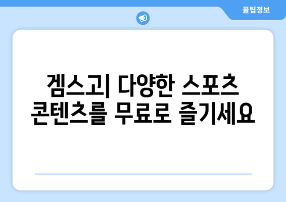 겜스고를 통한 누누티비 대체