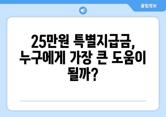 25만원 특별지급금: 가계 소득 증가에 기여