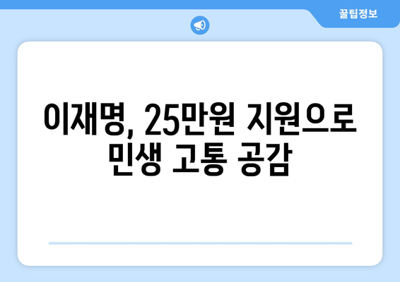 이재명의 25만원 민생지원금 제안: 윤석열 경제 실정 인식 반영