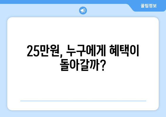 25만 원 민생회복지원금 논쟁: 핵심 문제는 무엇인가?