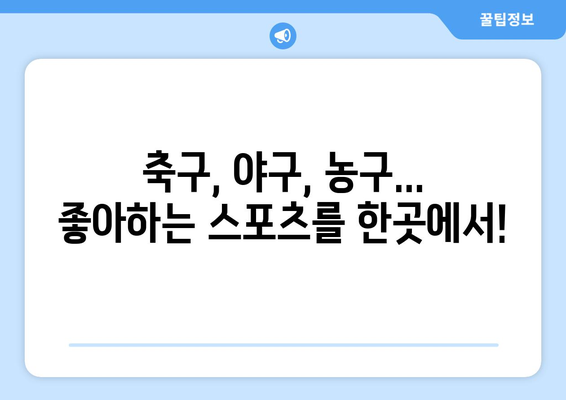 빠른티비 : 모든 스포츠, 한곳에