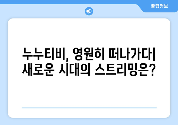 우회를 안녕하세요. 누누티비 서비스 종료: 대체가 등장할까?