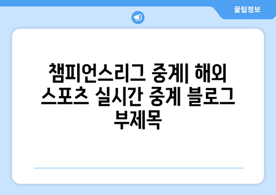 챔피언스리그 중계: 해외 스포츠 실시간 중계