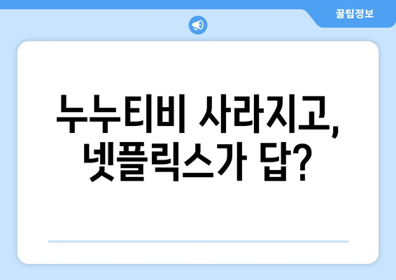 누누티비 종료로 넷플릭스 대체 필요성