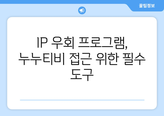 누누티비의 등장으로 IP 우회 프로그램 가치 상승