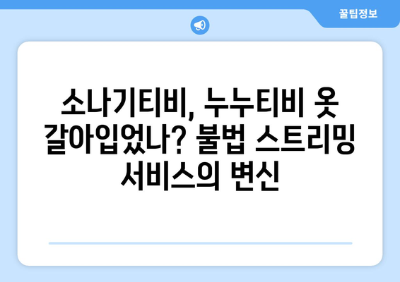 누누티비 서비스 종료 후 소나기티비 등장