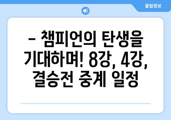 골프토너먼트 중계 일정: 8강, 4강, 결승전