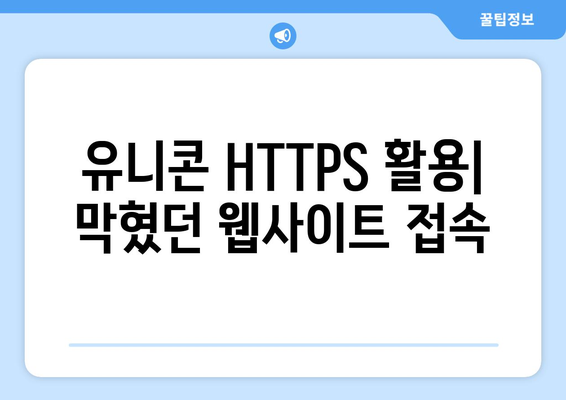 IP 우회 프로그램 유니콘 HTTPS 활용을 위한 가이드