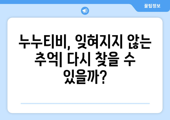 누누티비 서비스 종료: 대체 사이트 출시 가능성