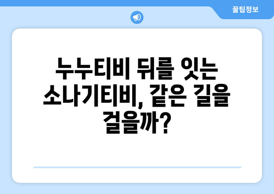 누누티비 수익 333억원, 대체 서비스로 소나기티비 등장