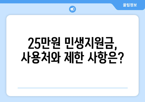 코로나19로 어려워진 가계 지원: 25만원 민생지원금