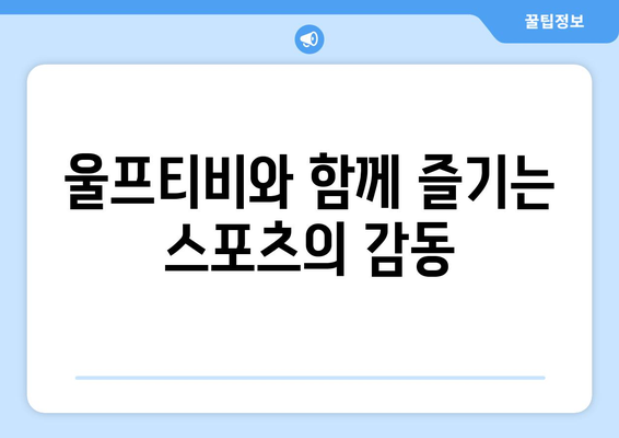 유로 2024 중계와 해외 스포츠 중계, 울프티비에서 확인